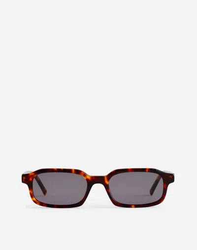 Madewell Oval Acetate Sunglasses In Dark Tortoise