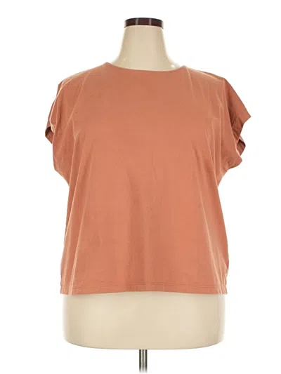 Pre-owned Madewell Short Sleeve T-shirt In Brown