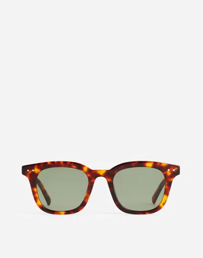 Madewell Square Acetate Sunglasses In Dark Tortoise