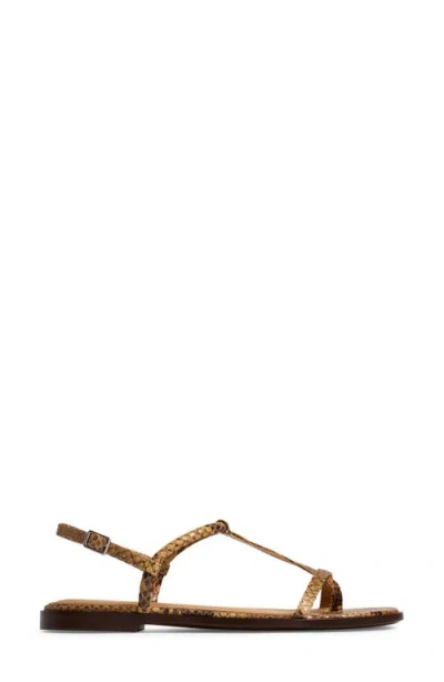 Madewell The Bev T-strap Sandal In Sepia Multi
