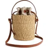 Madewell Mini Straw Basket Bag