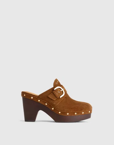 Madewell The Wes Buckle-strap Clog In Brown