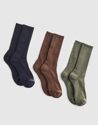 Madewell Three-pack Mwl Cloudlift Crew Socks In Brown