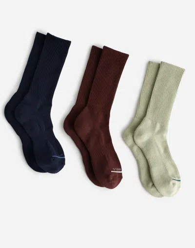 Madewell Three-pack Mwl Cloudlift Crew Socks In Warm Midnight