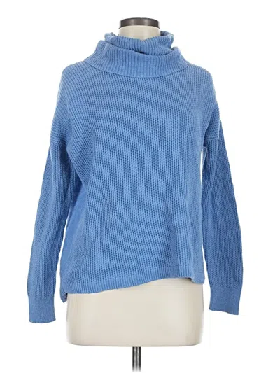 Pre-owned Madewell Turtleneck Sweater In Blue