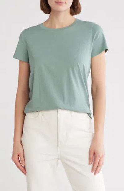 Madewell Vintage Crewneck Cotton T-shirt In Pale Eucalyptus