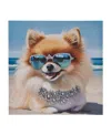 Madison Park Beach Dogs Pomeranian Canvas Wall Art In Open Blue