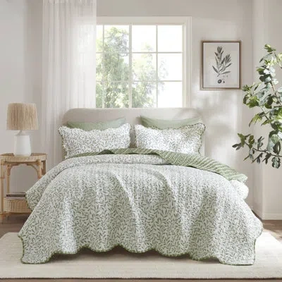 Madison Park Darcy 3 Piece Print Quilt Set In Green