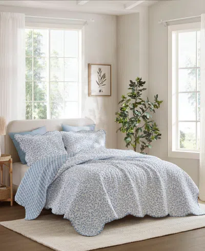 Madison Park Darcy Print Quilt Sets In Blue