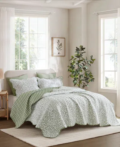 Madison Park Darcy Print 3-pc. Quilt Set, King In Green