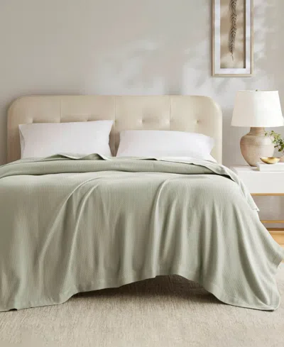 Madison Park Egyptian Cotton Blanket, Twin In Green