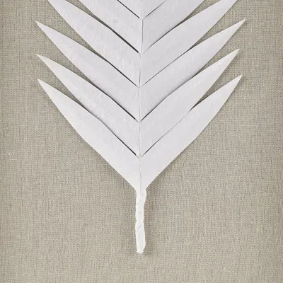 Madison Park Framed Rice Paper Palm Leaves 3-piece Shadowbox Wall Decor Set In White