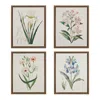 Madison Park Herbal Botany 4-piece Botanical Illustration Framed Canvas Wall Art Set In Multi