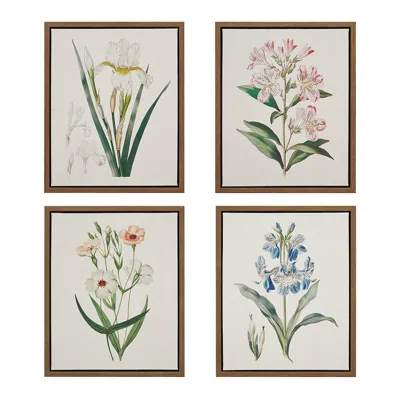 Madison Park Herbal Botany 4-piece Botanical Illustration Framed Canvas Wall Art Set In Multi