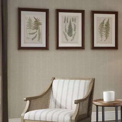 Madison Park Lady Fern Collection Botanical Illustration 3-pc. Framed Wall Art Sets In Brown