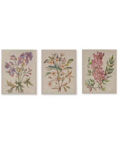 Madison Park Linen Botanicals 3-pc. Canvas Print Set In Black,white