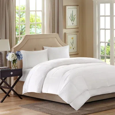 Madison Park Sleep Philosophy Benton 2 Layer Down Alternative Comforter In White