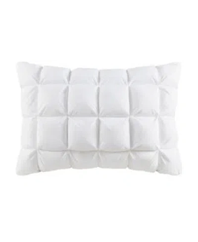 Madison Park Stay Puffed Overfilled Pillow Protector In Tan