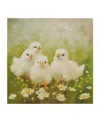 Madison Park Sunshine Animals Chicks Canvas Wall Art In Medium Gre