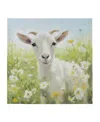 Madison Park Sunshine Animals Goat Canvas Wall Art In Medium Gre