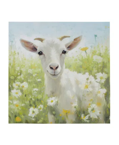 Madison Park Sunshine Animals Goat Canvas Wall Art In Medium Gre