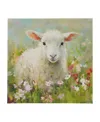 Madison Park Sunshine Animals Lamb Canvas Wall Art In Medium Gre
