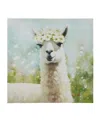 Madison Park Sunshine Animals Llama Canvas Wall Art In Medium Gre