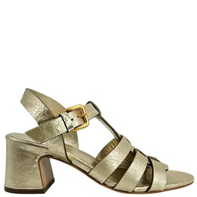 Madison.maison Women's Gold Metallic Leather Gladiator Heel Sandal In Multi