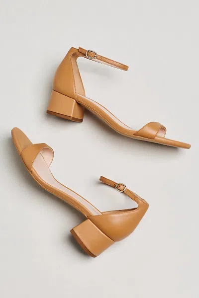 Maeve Ankle-strap Low Block Heels In Brown