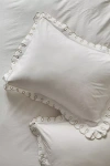 Maeve By Anthropologie Organic Cotton Looped Embroidered Shams, Set Of 2