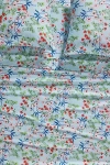 Maeve By Anthropologie Organic Sateen Printed Sheet Set In Blue
