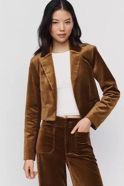 Maeve Cropped Tuxedo Blazer Jacket In Brown