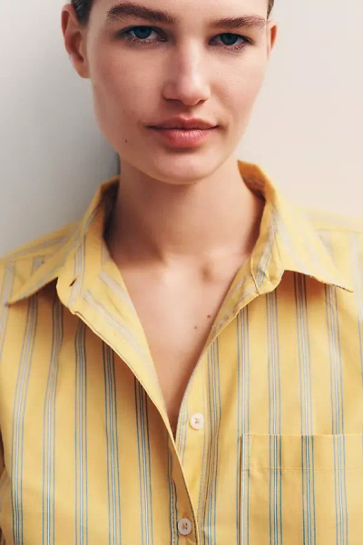 Maeve Kate Classic Buttondown Shirt By  In Multi