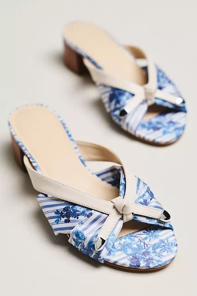 Maeve Knotted Slip-on Block Heels In Blue