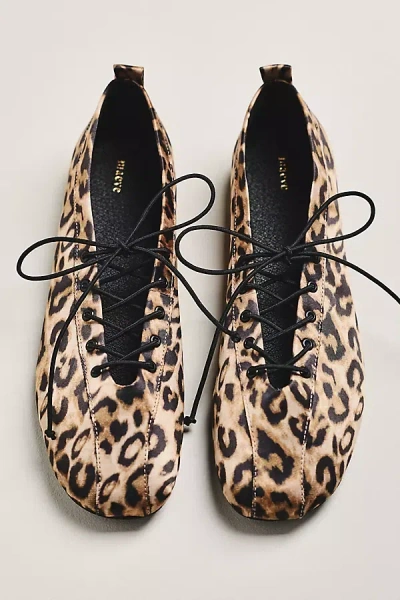 Maeve Lace-up Ballet Flats In Animal Print