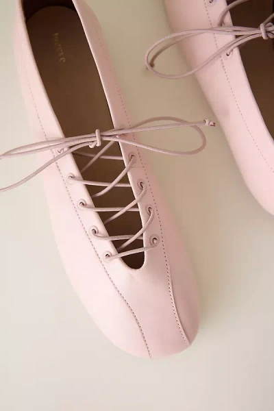 Maeve Lace-up Ballet Flats In Pink