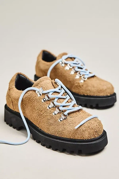 Maeve Lace-up Low Hiker Shoes In Brown
