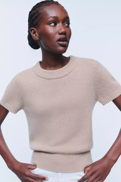 Maeve Mercer Cashmere Short Sleeve Sweater In Pink