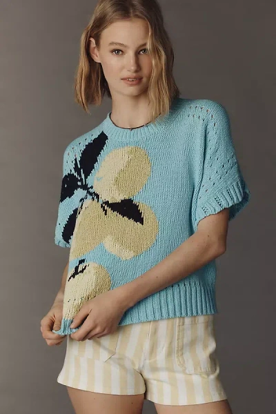 Maeve Short-sleeve Crew-neck Veggie Motif Graphic Sweater In Blue