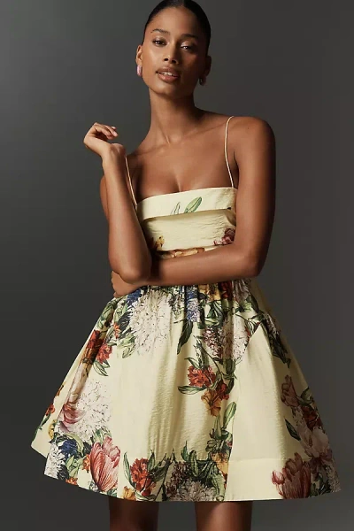 Maeve Sleeveless Fit & Flare Mini Dress In Multi