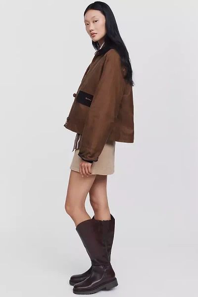Maeve Tall Round Toe Boots In Brown