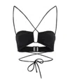 Magda Butrym Beaded Cut-out Bikini Bottoms In Black