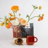 Magic Hour Coffee Lovers Tea Kit For Better Moods, Digestion & Metabolism