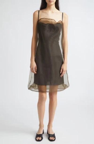 Magliano Piccolo Paradiso Organza Dress In Brown