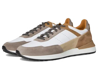 Magnanni Eu Bravo In Multi