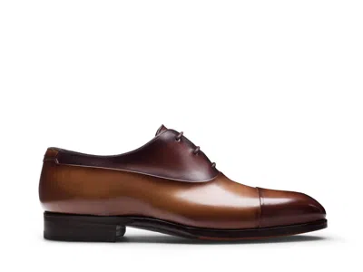 Magnanni Men's Seleccion Duke Oxford In Tabacco In Brown