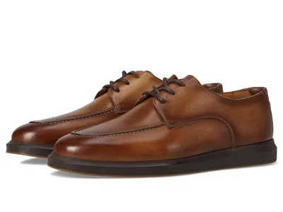 Magnanni Orion Lace In Brown