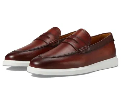 Magnanni Orion Penny In Brown