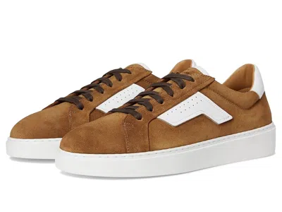Magnanni Phoenix In Multi