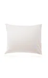 Magniberg Pure Standard Pima Cotton Pillow Case In White